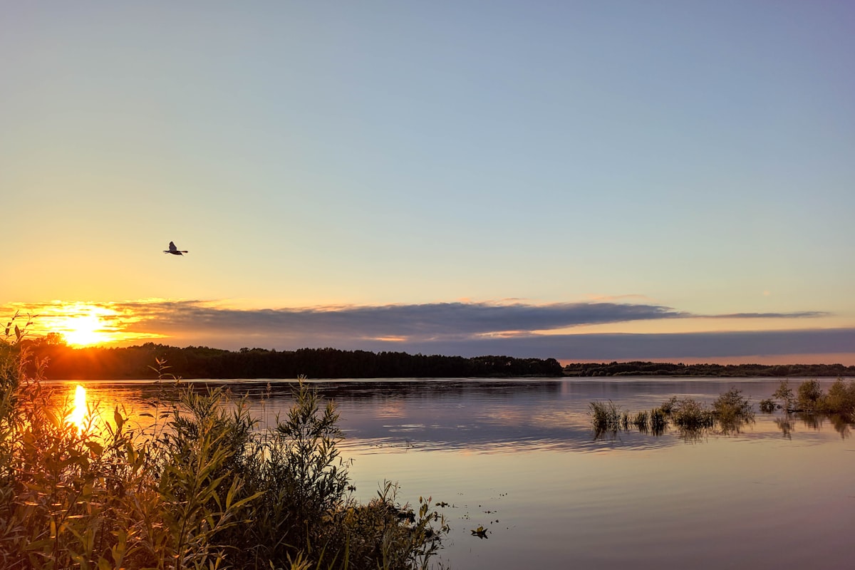 body of water near green grass during daytime