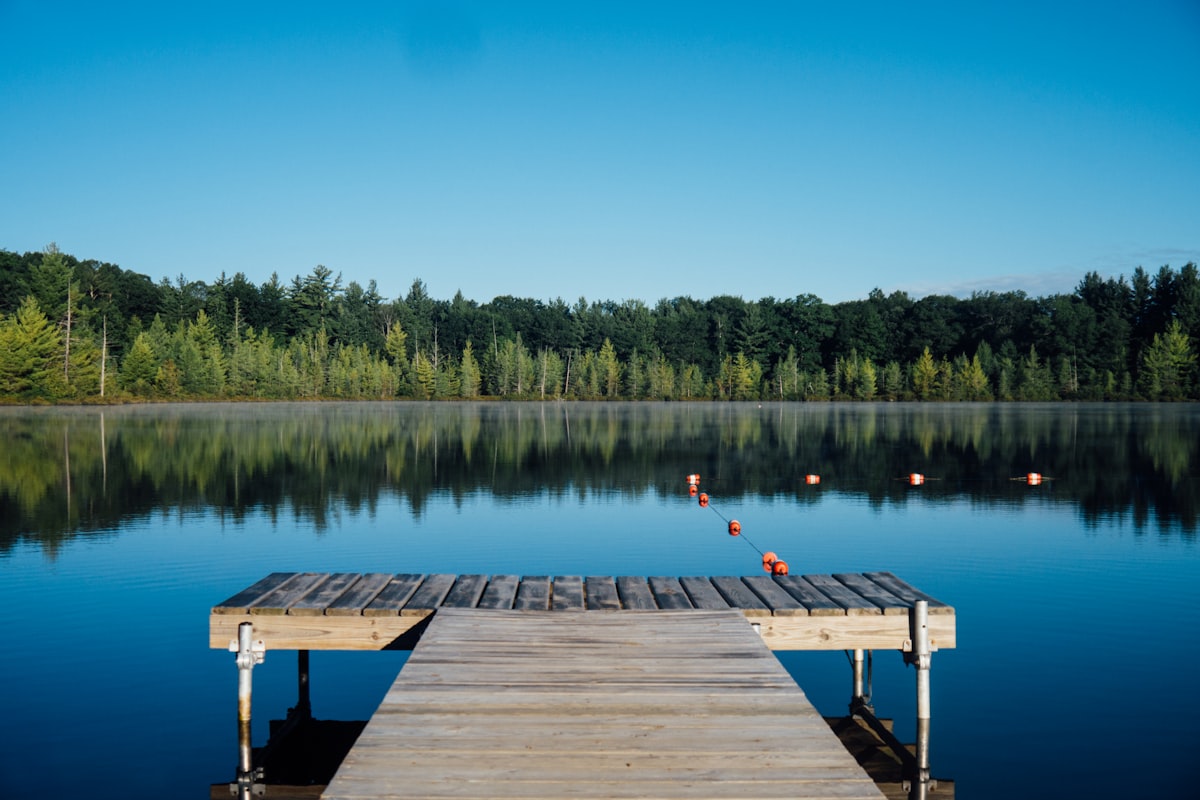 brown wooden dock near calm body of water surrounded by trees