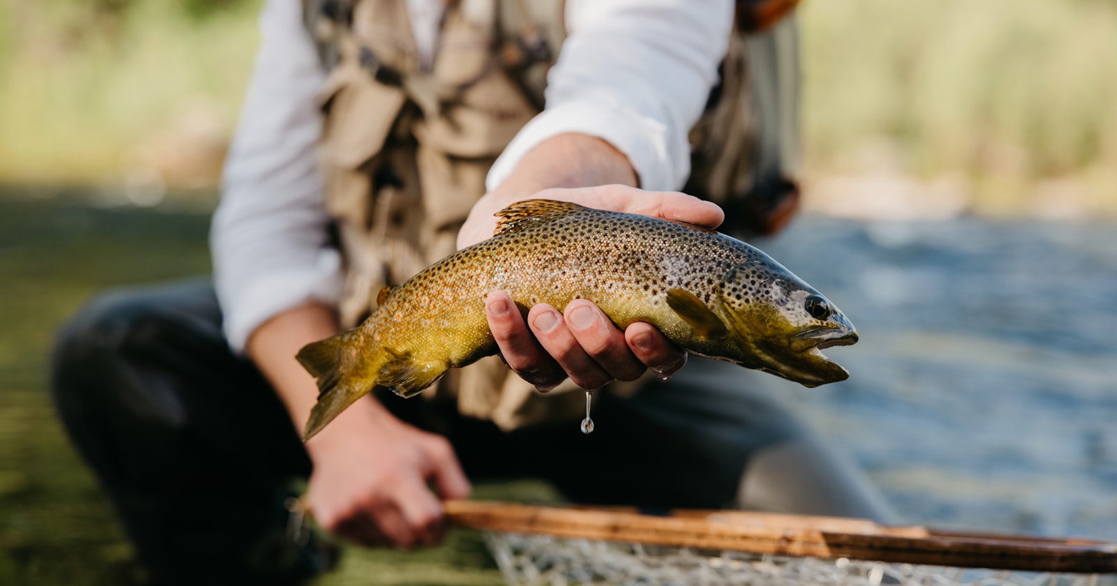 a man holding a brown fish in a net