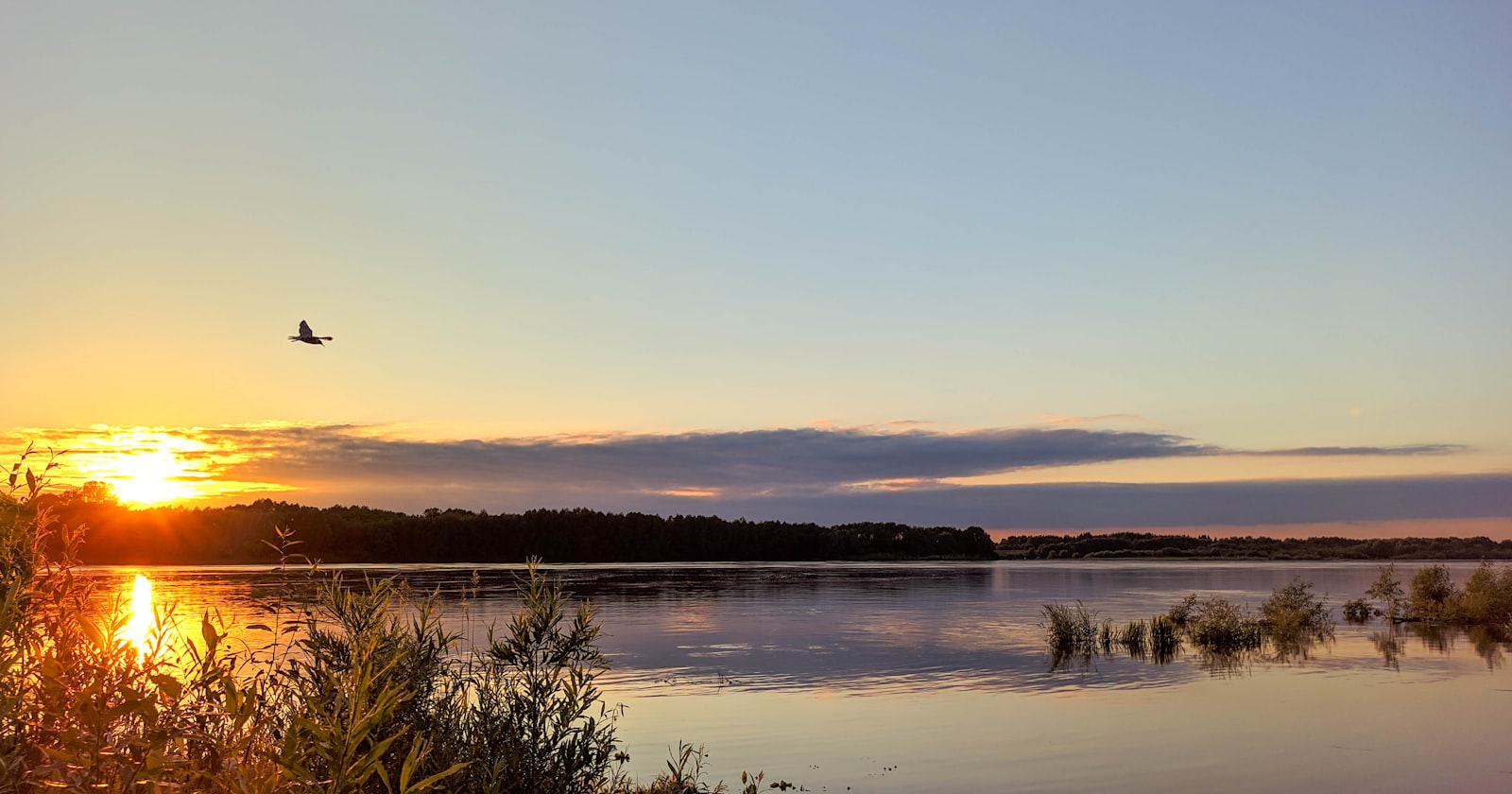 body of water near green grass during daytime